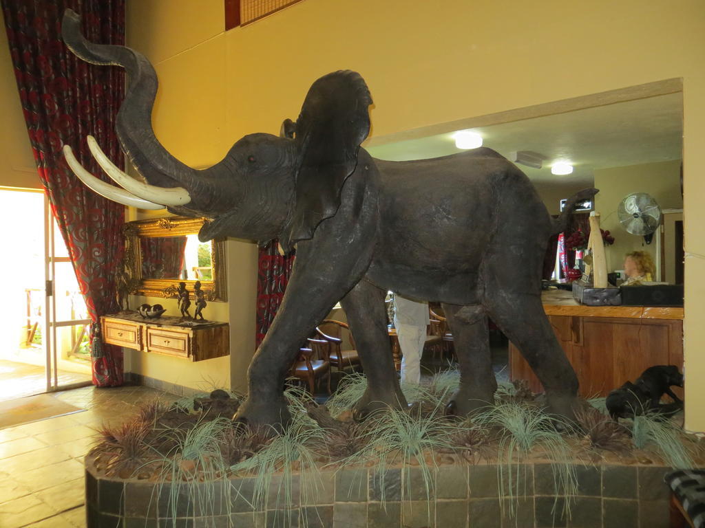Ivory Tusk Lodge 桑尼 外观 照片
