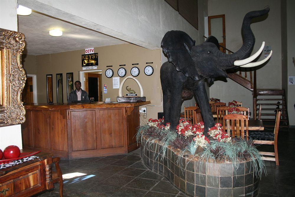 Ivory Tusk Lodge 桑尼 外观 照片